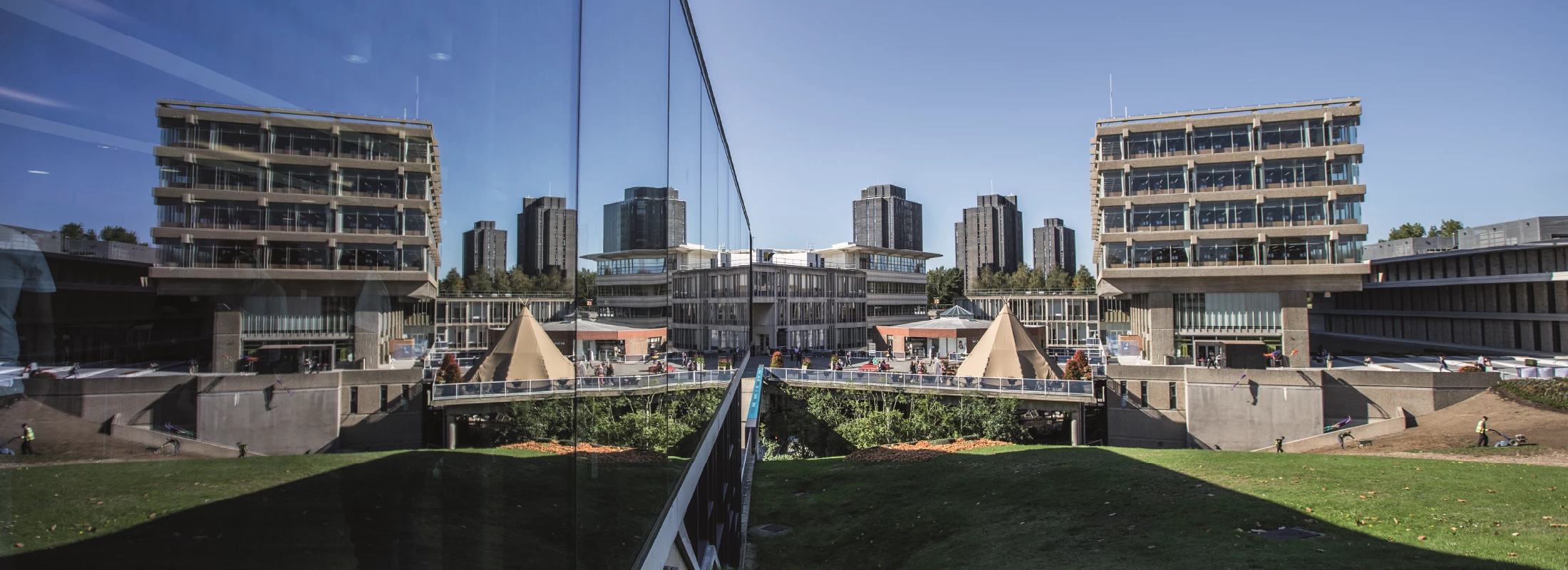 University_Essex_Old_Case_Study_Banner