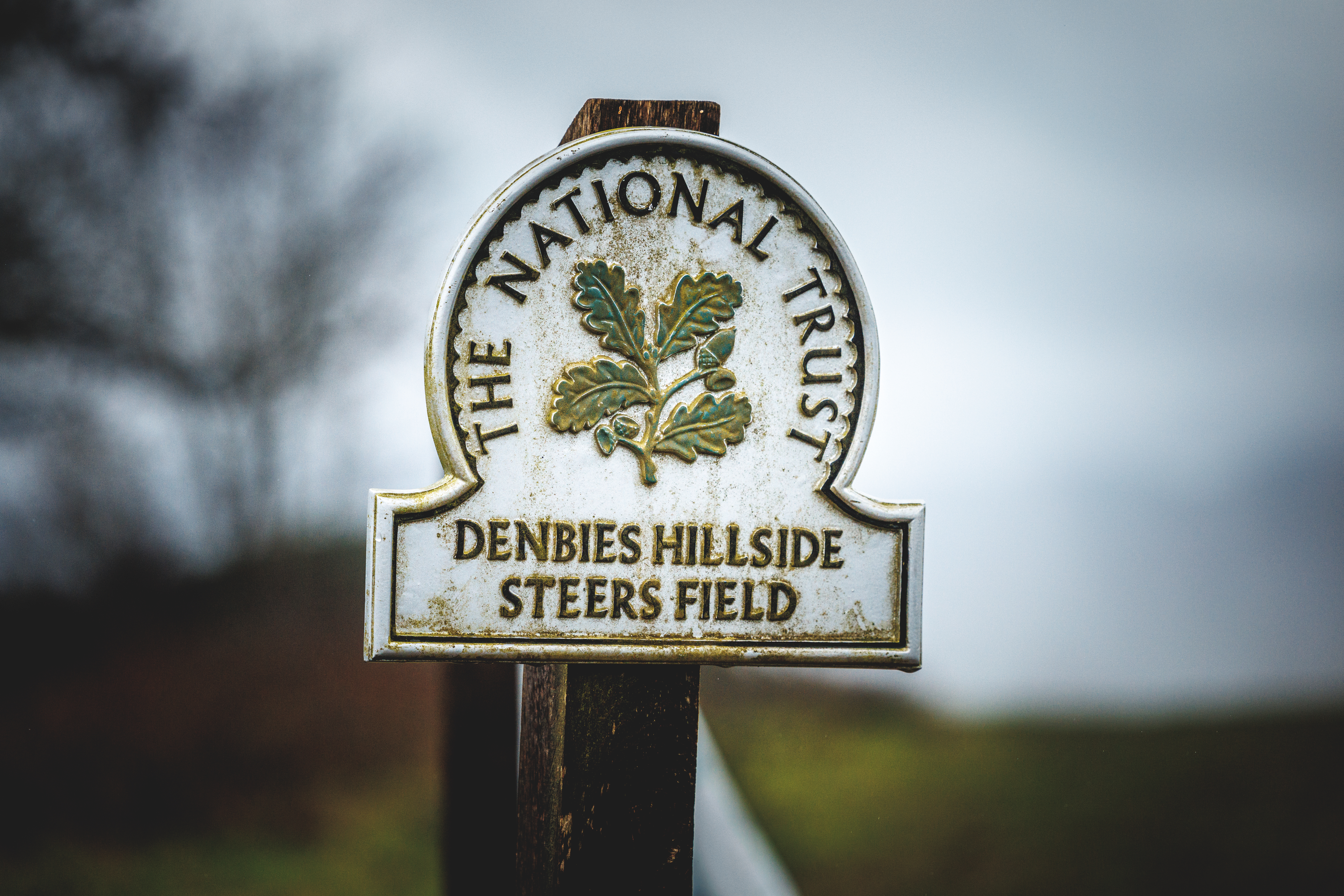 national-trust-denbies-hillside-steers-field-sign.jpeg